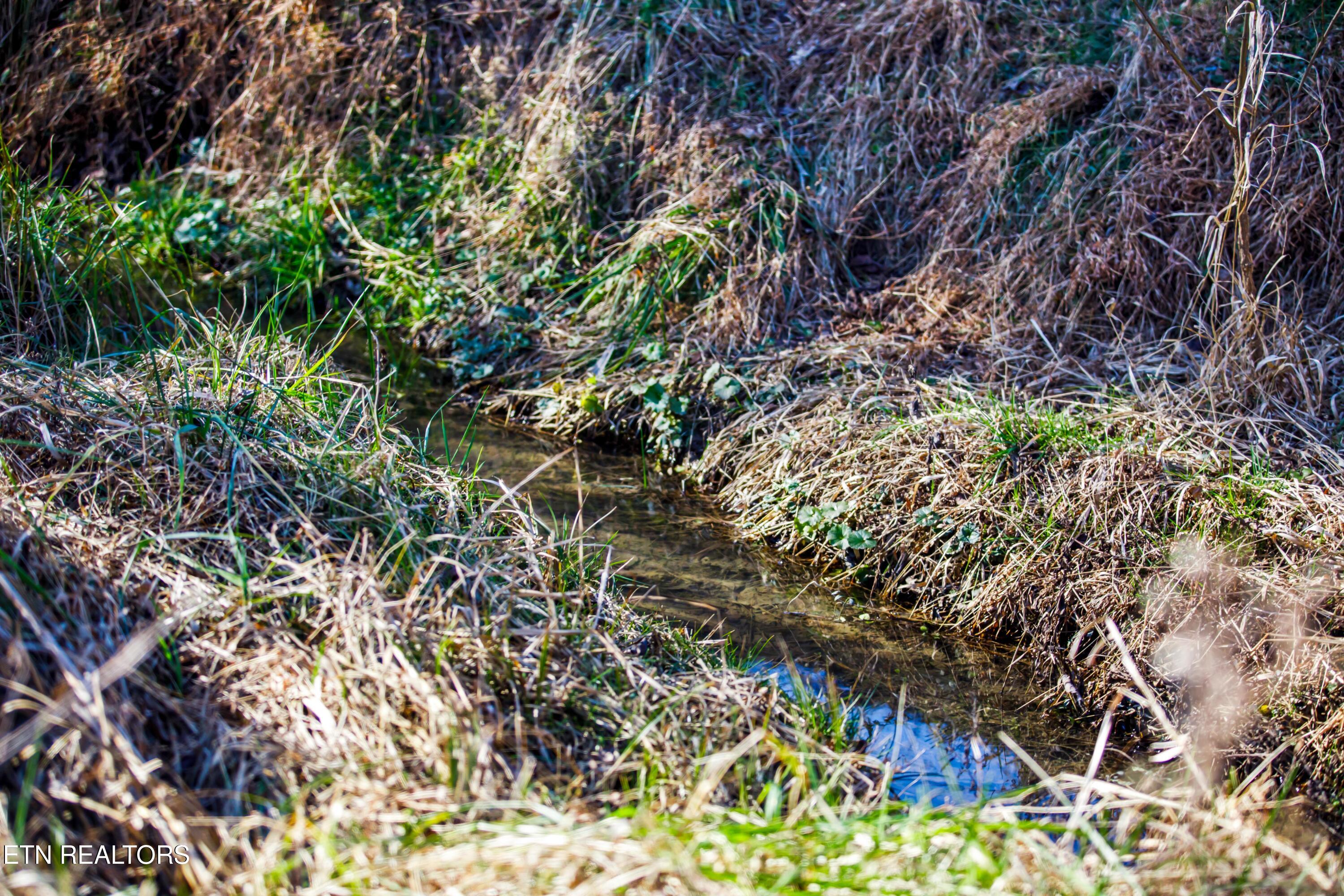 1311 Paint Rock Valley Road Philadelphia, TN 37846 - Photo 12 of 42 030A7768