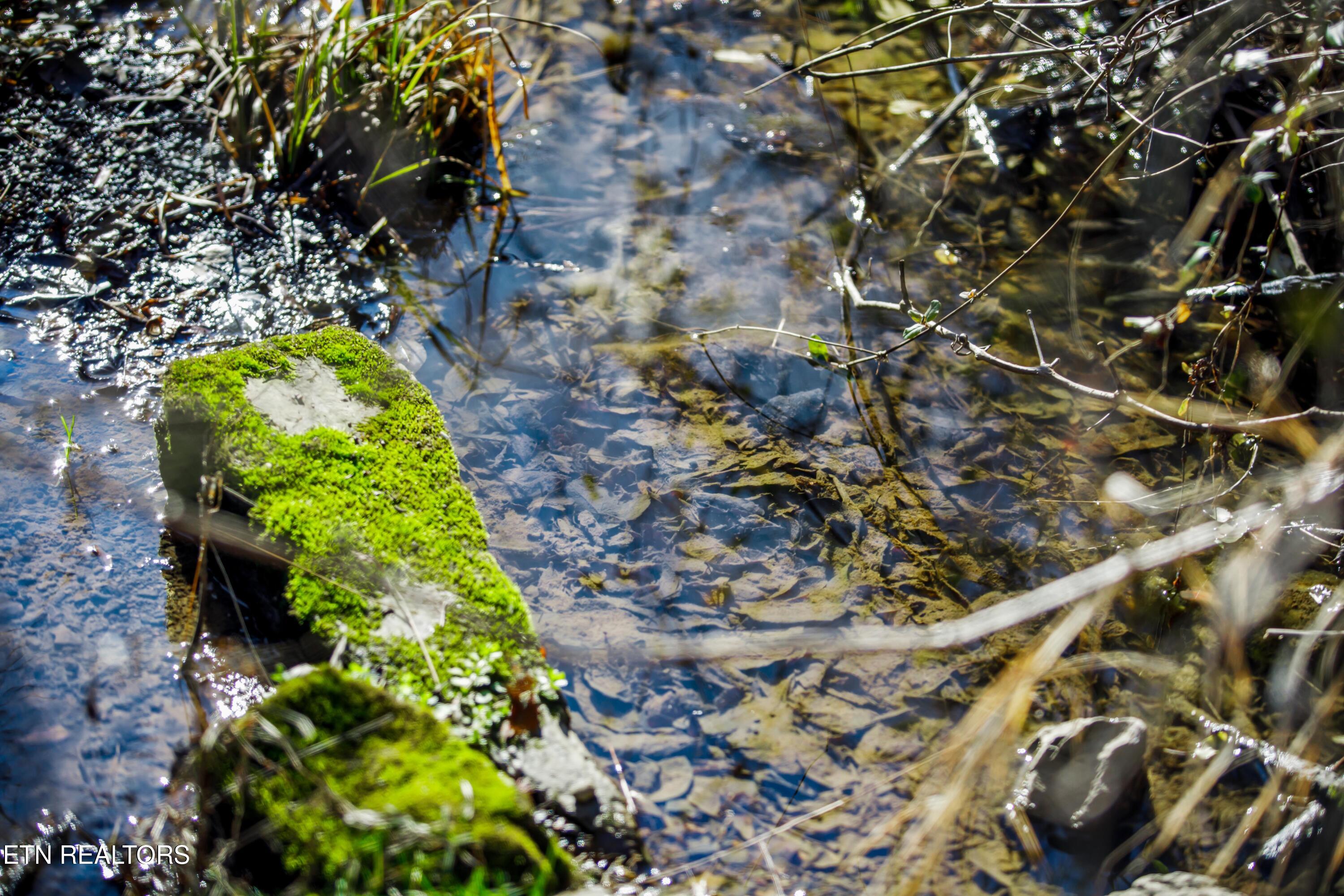 1311 Paint Rock Valley Road Philadelphia, TN 37846 - Photo 37 of 42 030A7765