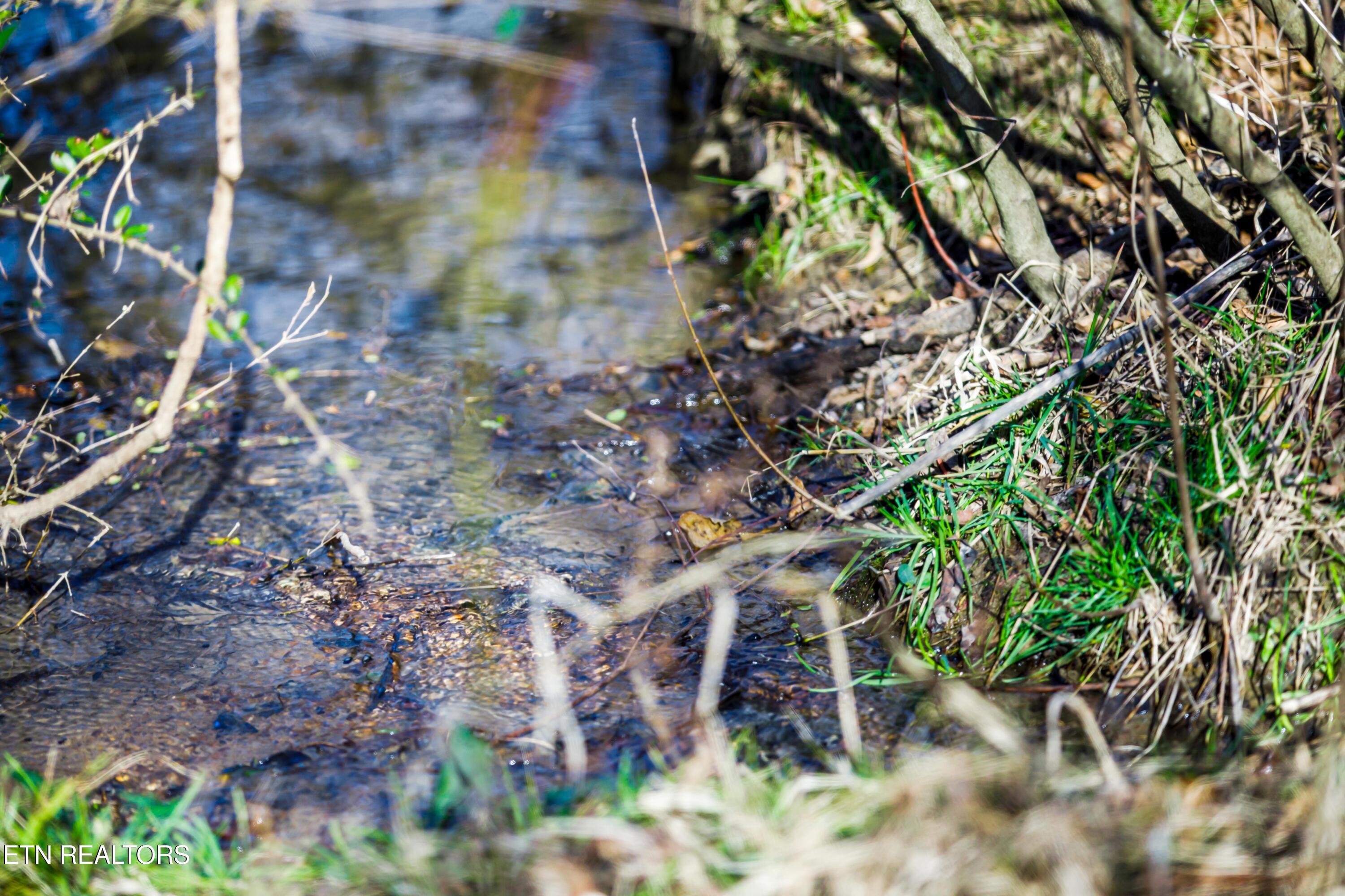 1311 Paint Rock Valley Road Philadelphia, TN 37846 - Photo 38 of 42 030A7769