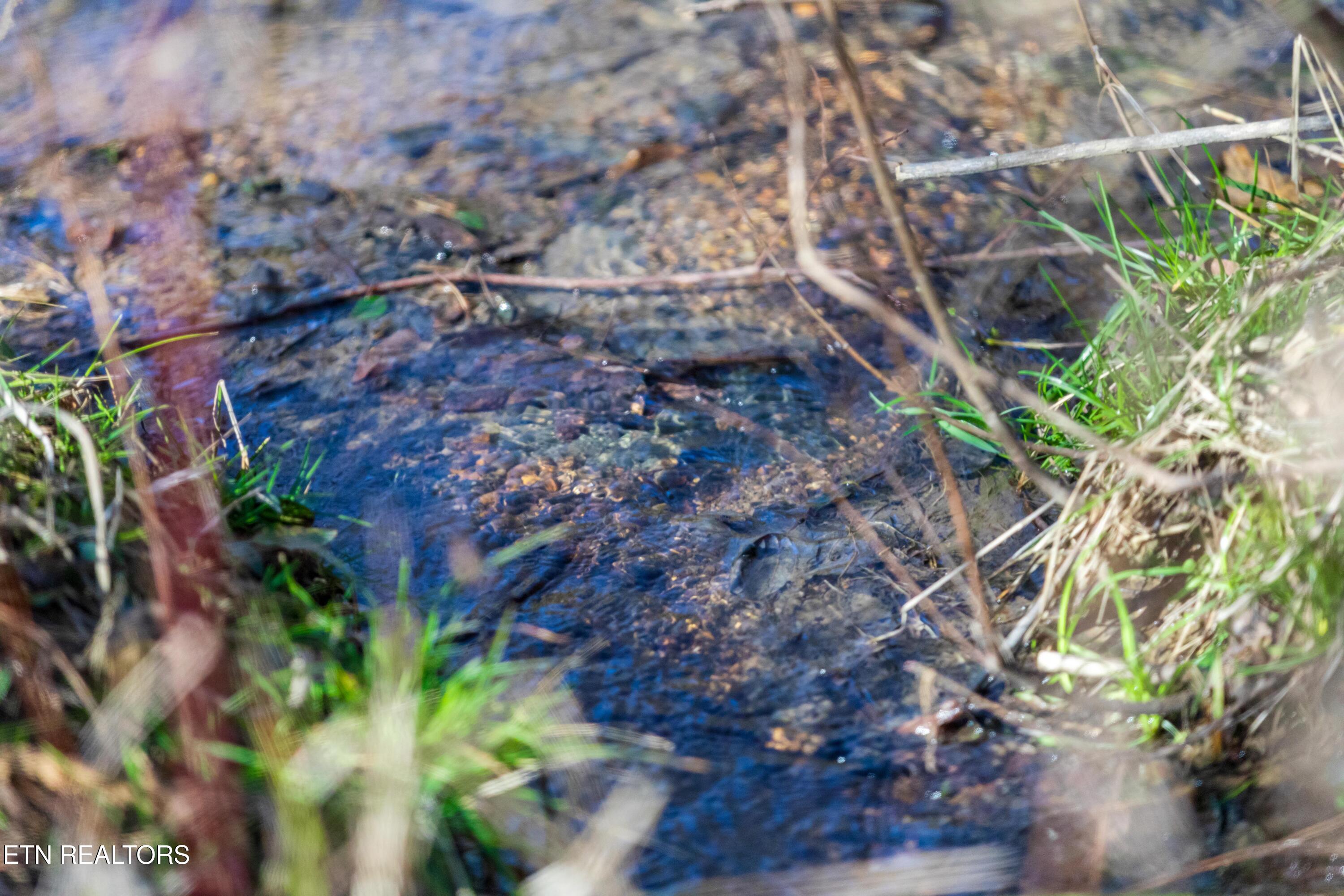 1311 Paint Rock Valley Road Philadelphia, TN 37846 - Photo 40 of 42 030A7770