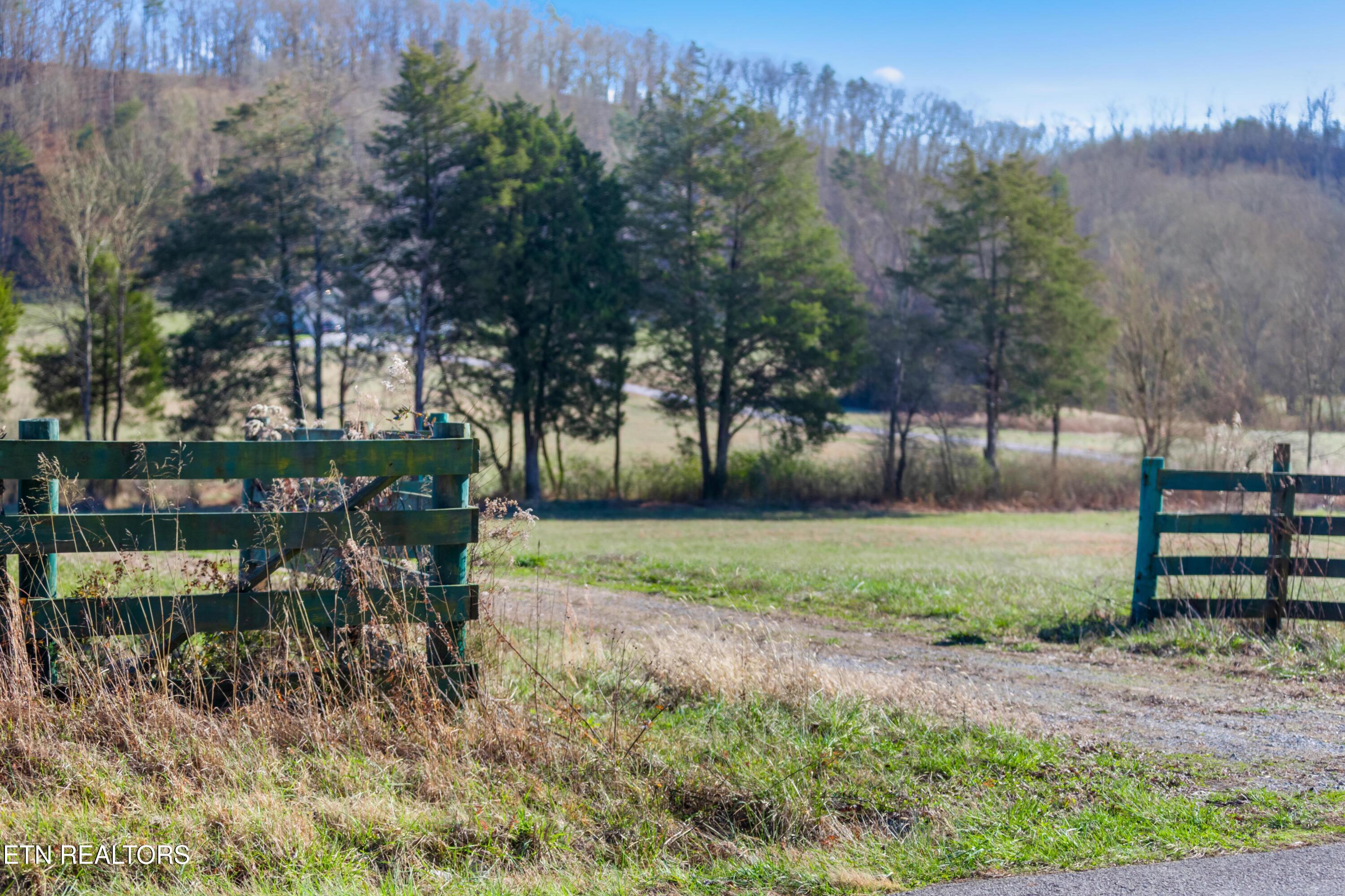1311 Paint Rock Valley Road Philadelphia, TN 37846 - Photo 42 of 42 030A7771