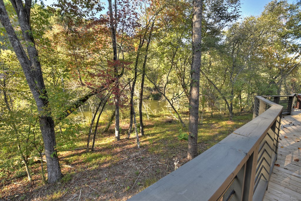 1719 Hogback Drive Blue Ridge, GA 30513 - Photo 47 of 67