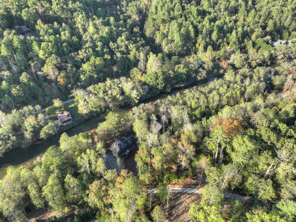 1719 Hogback Drive Blue Ridge, GA 30513 - Photo 61 of 67