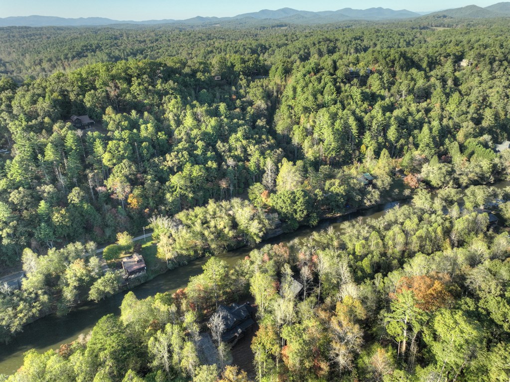 1719 Hogback Drive Blue Ridge, GA 30513 - Photo 62 of 67