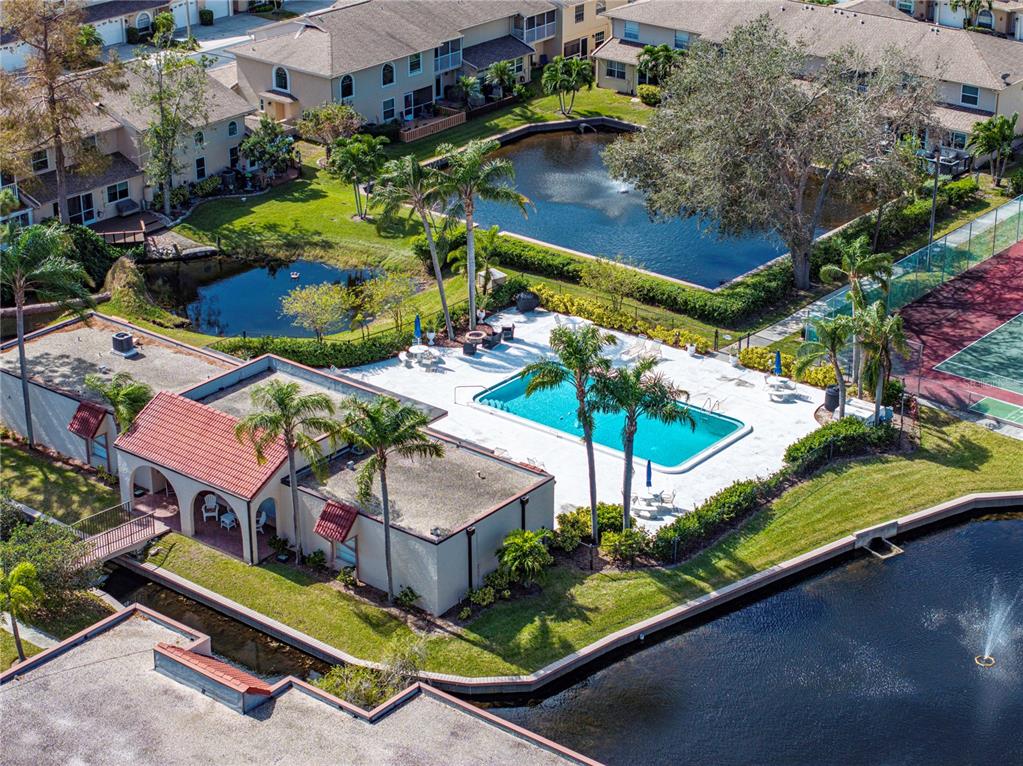 9700 Starkey Road, Unit 312 Seminole, FL 33777 - Photo 39 of 44
