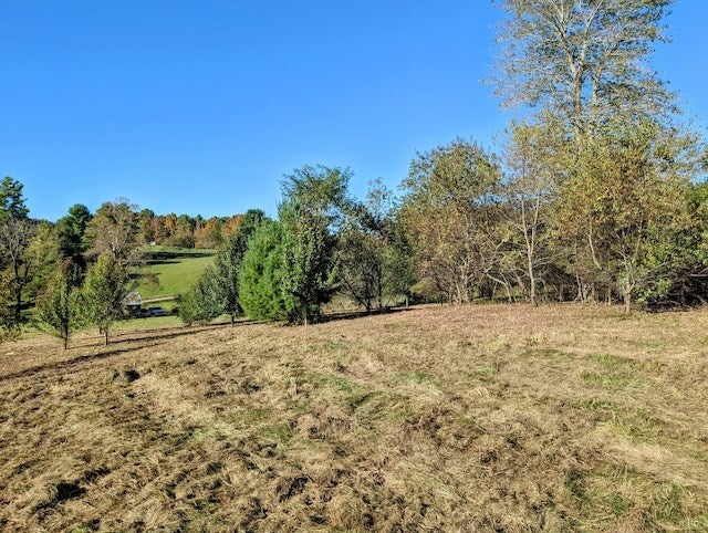 Tbd Tbd Smith Farm Road, Unit 7C Check, VA 24072 - Photo 6 of 15 Gallery Image 6