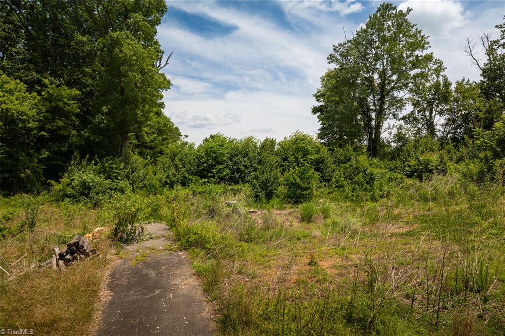309 Ararat Longhill Road Pilot Mountain, NC 27041 - Photo 25 of 34