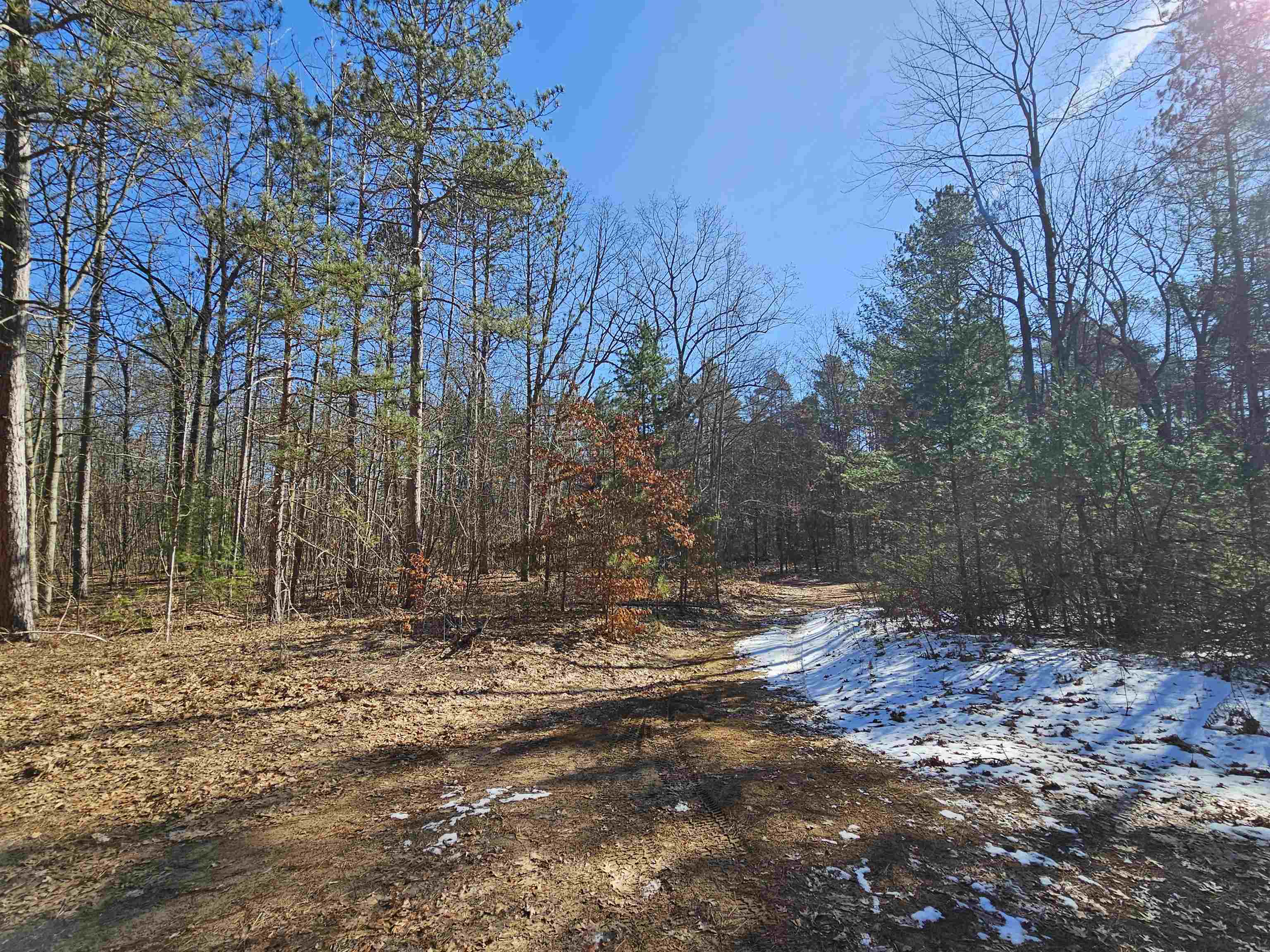 2270 West Maple Grove Road Farwell, MI 48622 - Photo 10 of 28