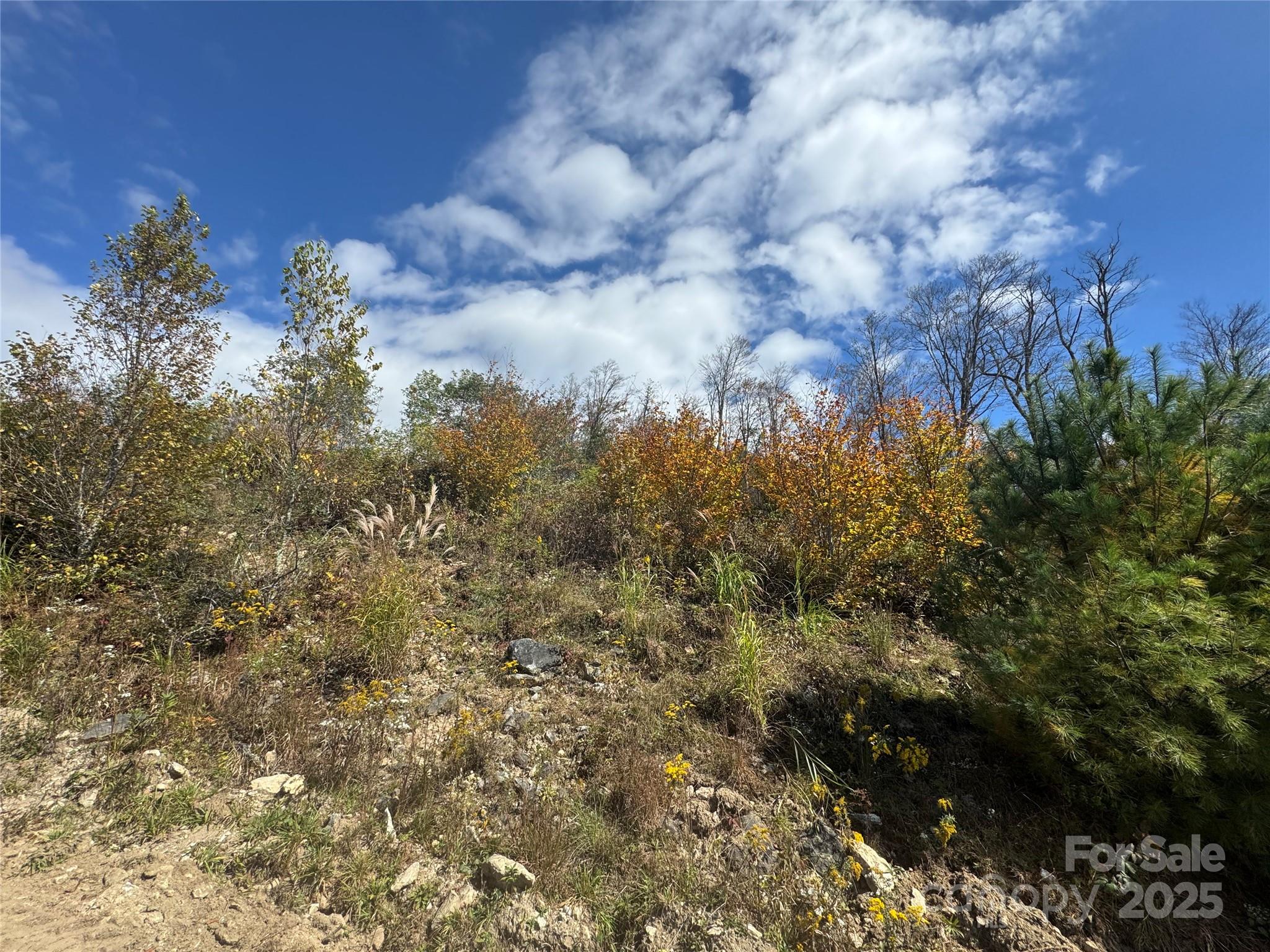 15 Ridge Top Loop Mars Hill, NC 28754 - Photo 3 of 11 Gallery Image 3