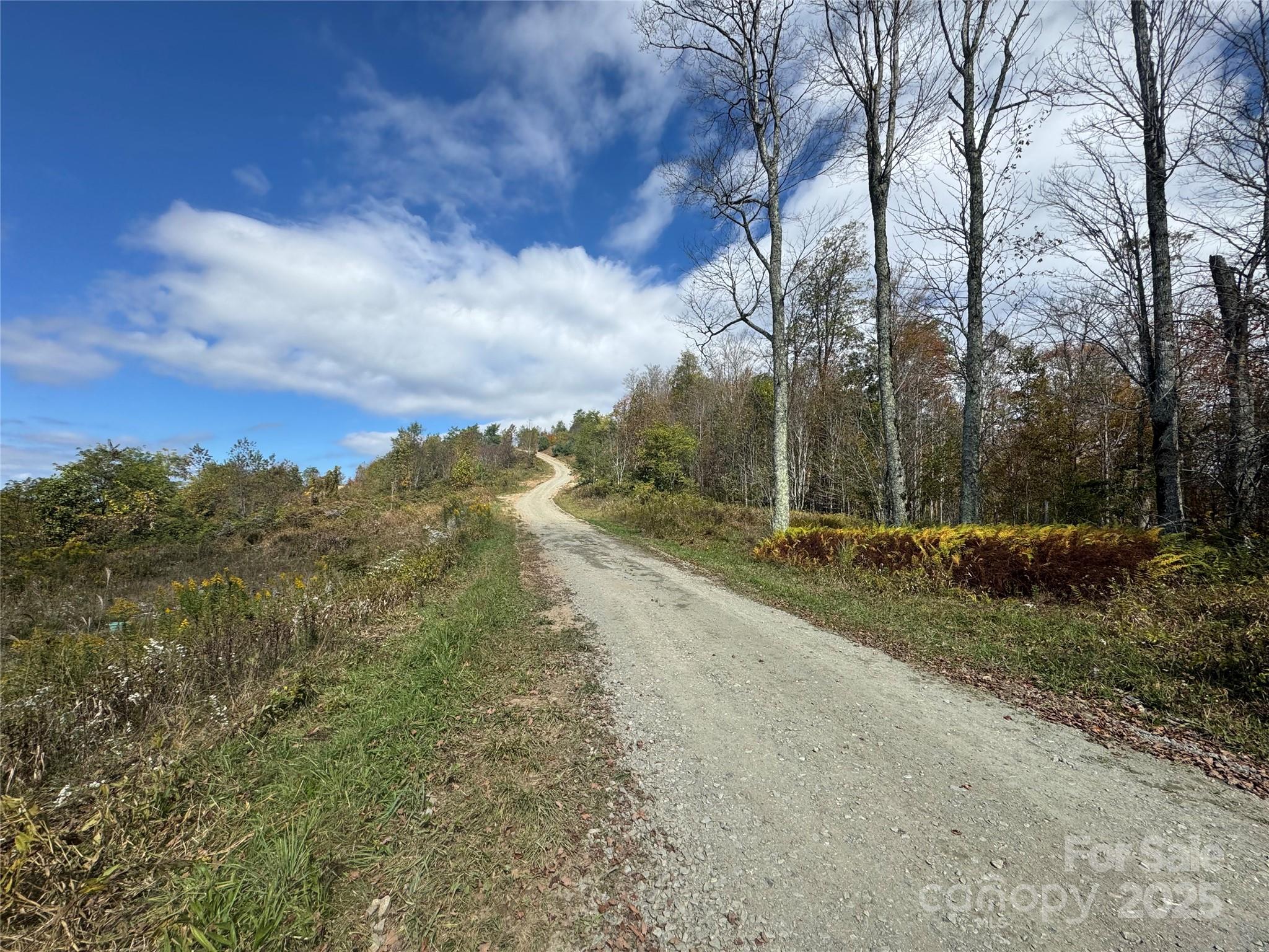 15 Ridge Top Loop Mars Hill, NC 28754 - Photo 4 of 11 Gallery Image 4