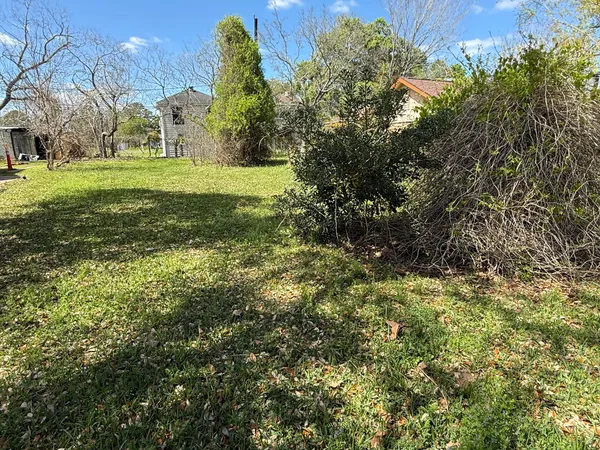 a view of a green field with lots of bushes