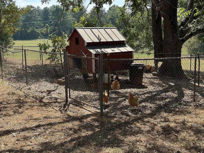 818 Corinth-Five Points Road Buchanan, GA 30113 - Photo 18 of 26