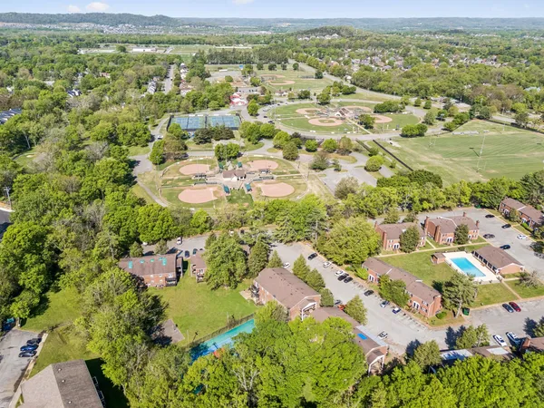 a view of a swimming pool with a fountain and plants