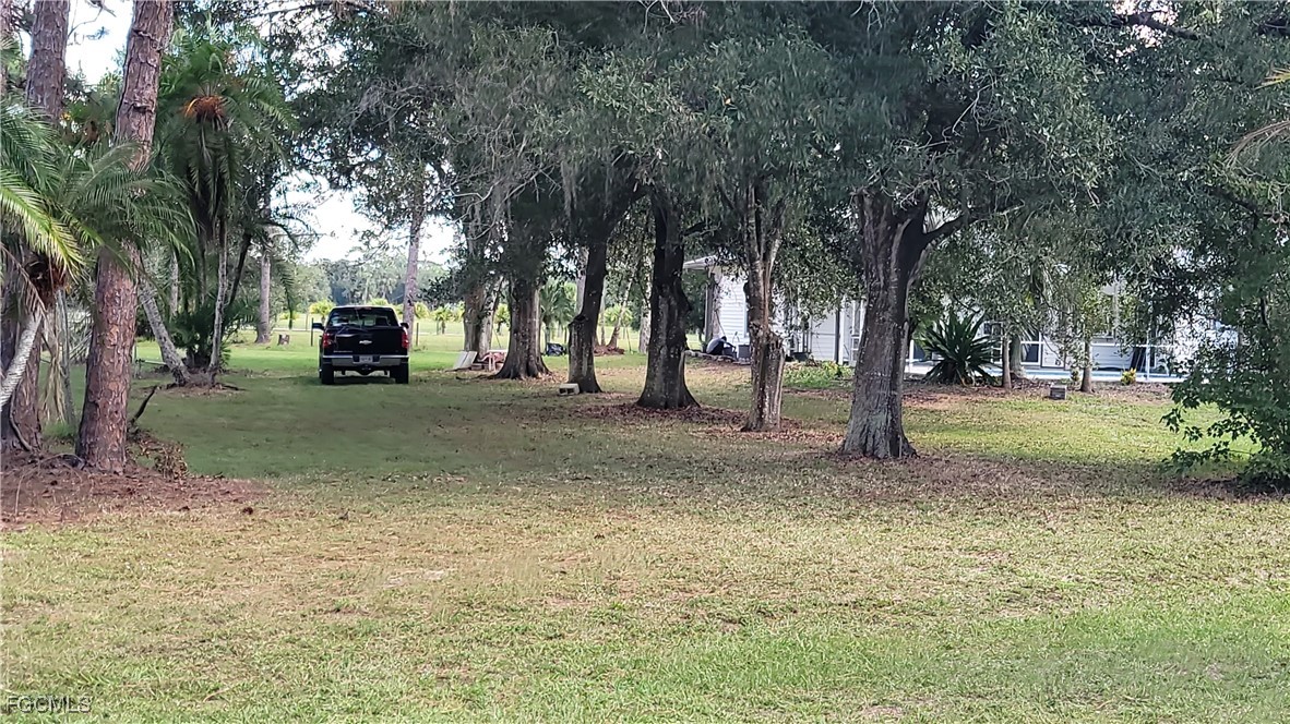7820 Rich Road North Fort Myers, FL 33917 - Photo 3 of 26 a view of a tree in front of a house