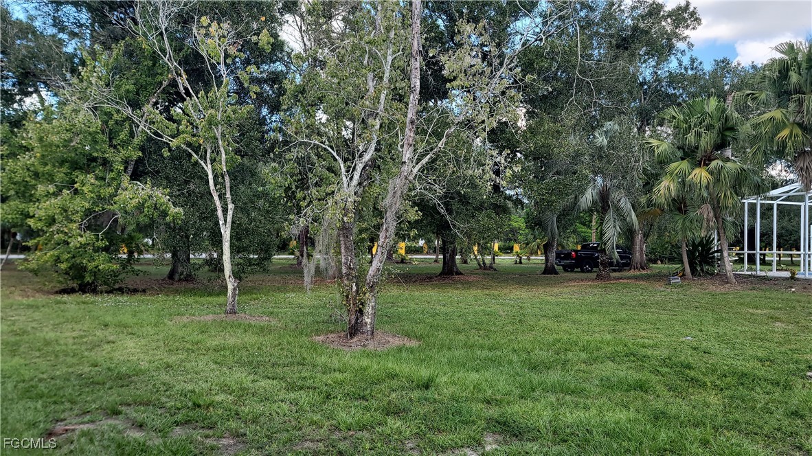7820 Rich Road North Fort Myers, FL 33917 - Photo 4 of 26 a view of a tree in a park