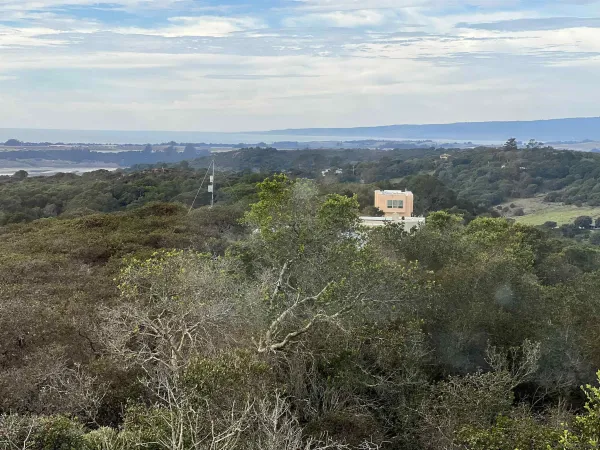 a view of city and ocean