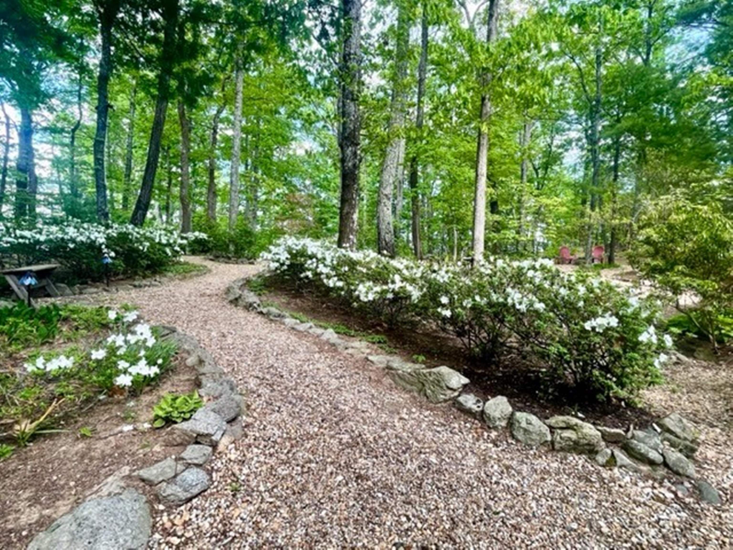 846 Turkey Ridge Road Stanardsville, VA 22973 - Photo 54 of 57 a garden with lots of trees