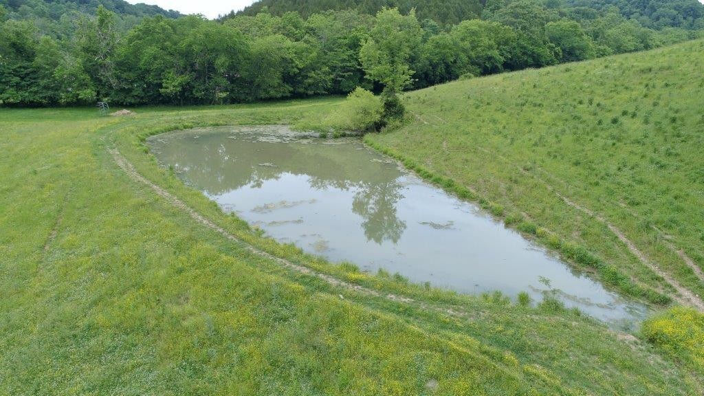 6431 Old Bottom Road Pleasant Shade, TN 37145 - Photo 22 of 38 a view of a grassy area with a yard