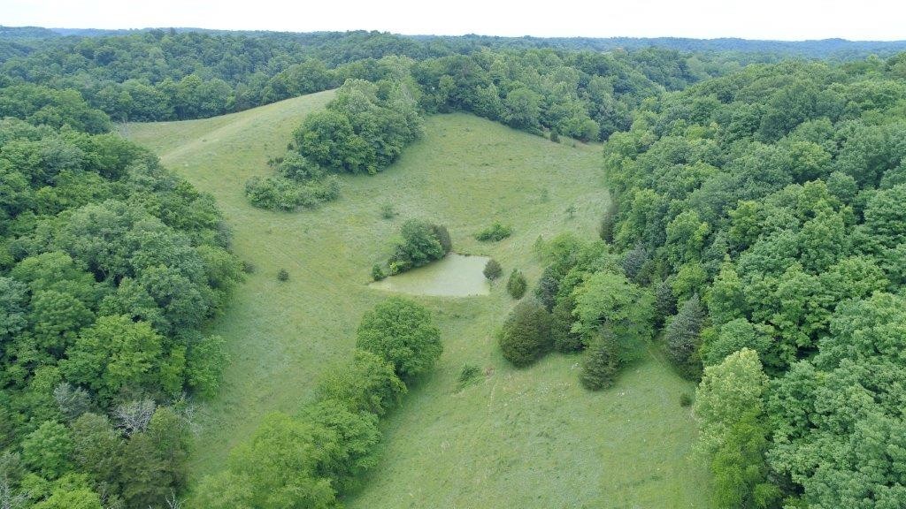 6431 Old Bottom Road Pleasant Shade, TN 37145 - Photo 23 of 38 a view of a lush green forest with a forest