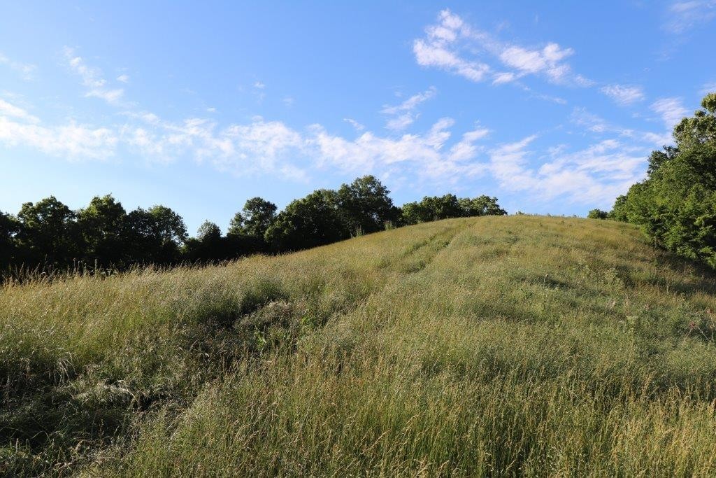 6431 Old Bottom Road Pleasant Shade, TN 37145 - Photo 24 of 38