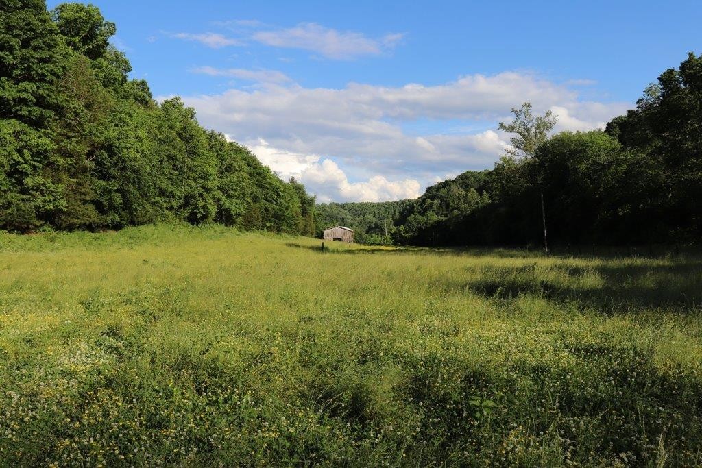 6431 Old Bottom Road Pleasant Shade, TN 37145 - Photo 25 of 38 a view of outdoor space and yard