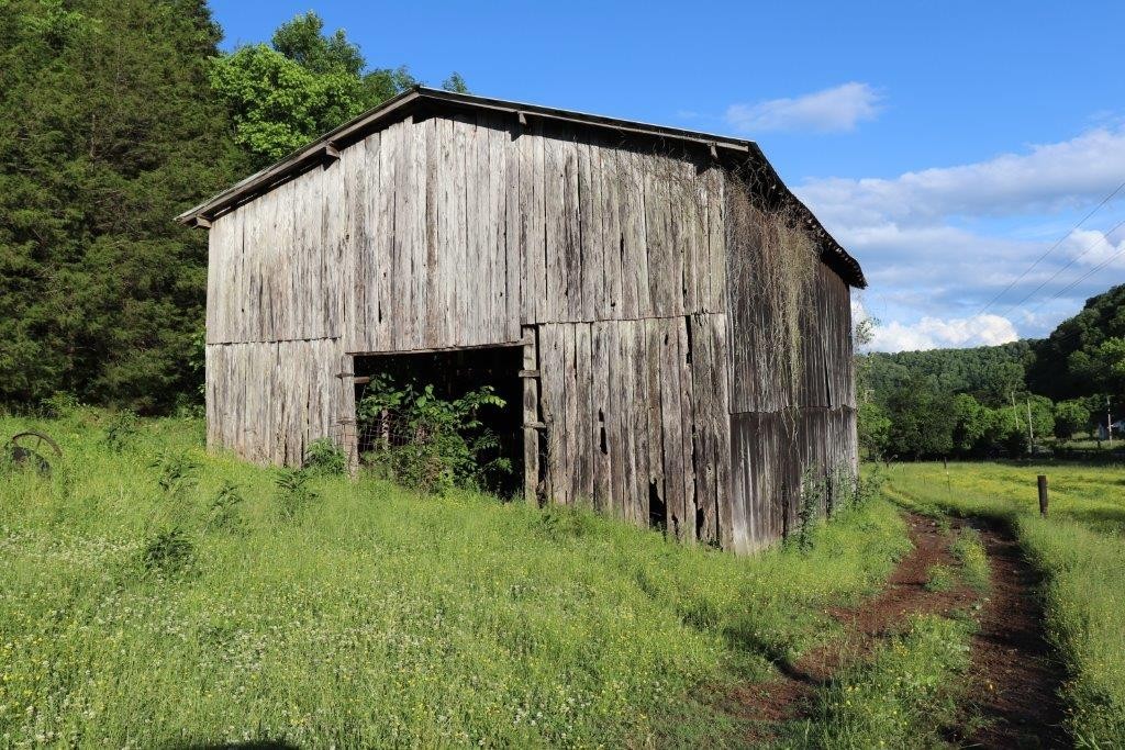 6431 Old Bottom Road Pleasant Shade, TN 37145 - Photo 26 of 38 a view of backyard with green space