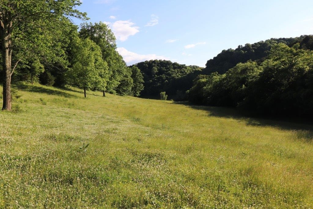 6431 Old Bottom Road Pleasant Shade, TN 37145 - Photo 29 of 38 a view of outdoor space and yard