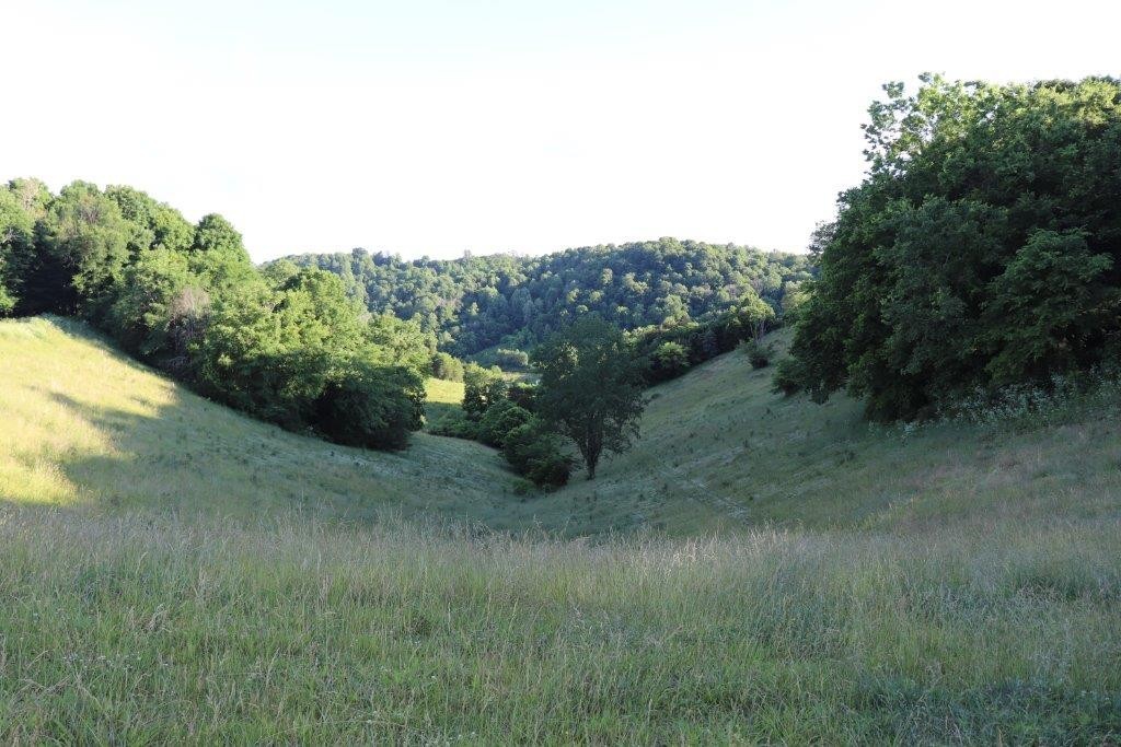 6431 Old Bottom Road Pleasant Shade, TN 37145 - Photo 30 of 38 a view of a lush green space