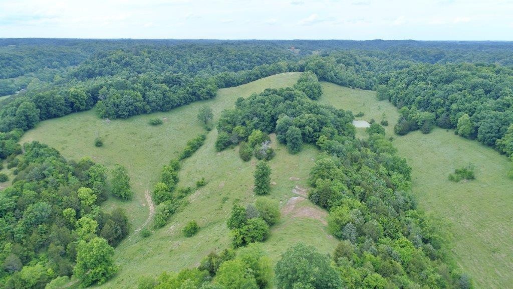 6431 Old Bottom Road Pleasant Shade, TN 37145 - Photo 31 of 38 an aerial view of residential houses with outdoor space and trees