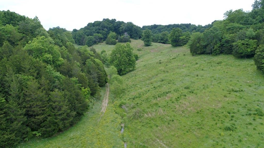 6431 Old Bottom Road Pleasant Shade, TN 37145 - Photo 33 of 38 a view of a lush green forest with lots of trees