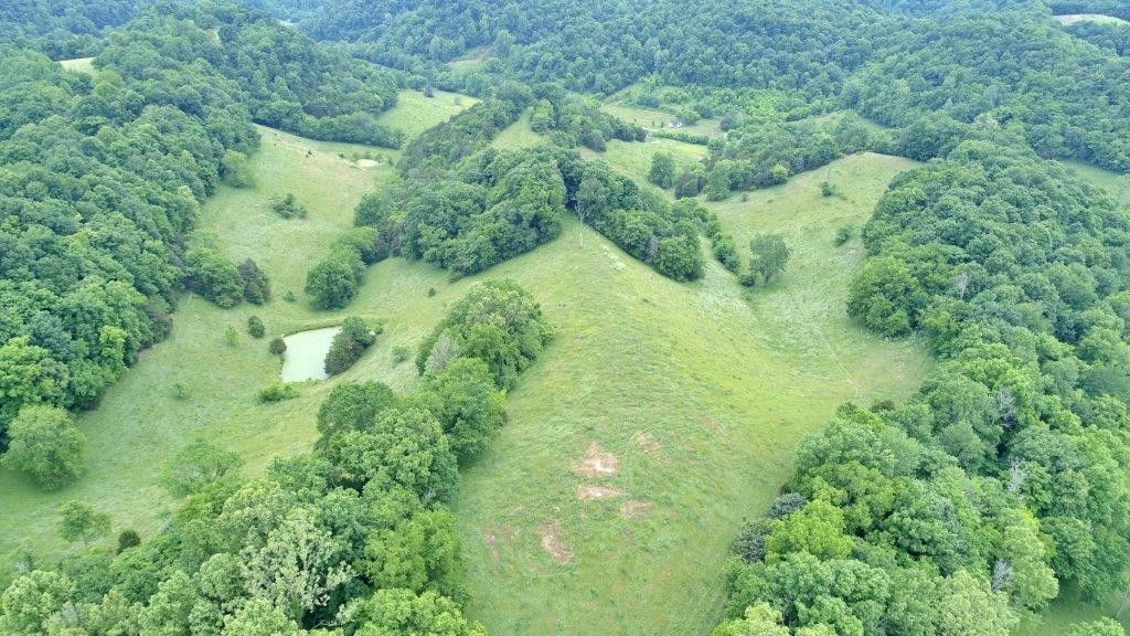 6431 Old Bottom Road Pleasant Shade, TN 37145 - Photo 34 of 38 a view of a lush green forest