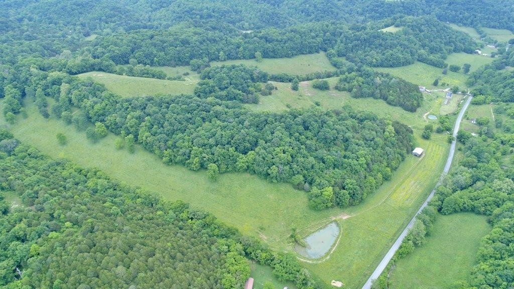 6431 Old Bottom Road Pleasant Shade, TN 37145 - Photo 35 of 38 a view of a lush green forest with lots of trees