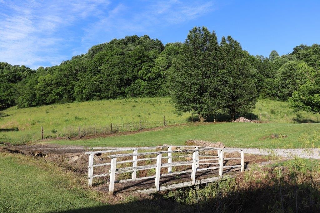 6431 Old Bottom Road Pleasant Shade, TN 37145 - Photo 36 of 38 a view of a yard with an outdoor space