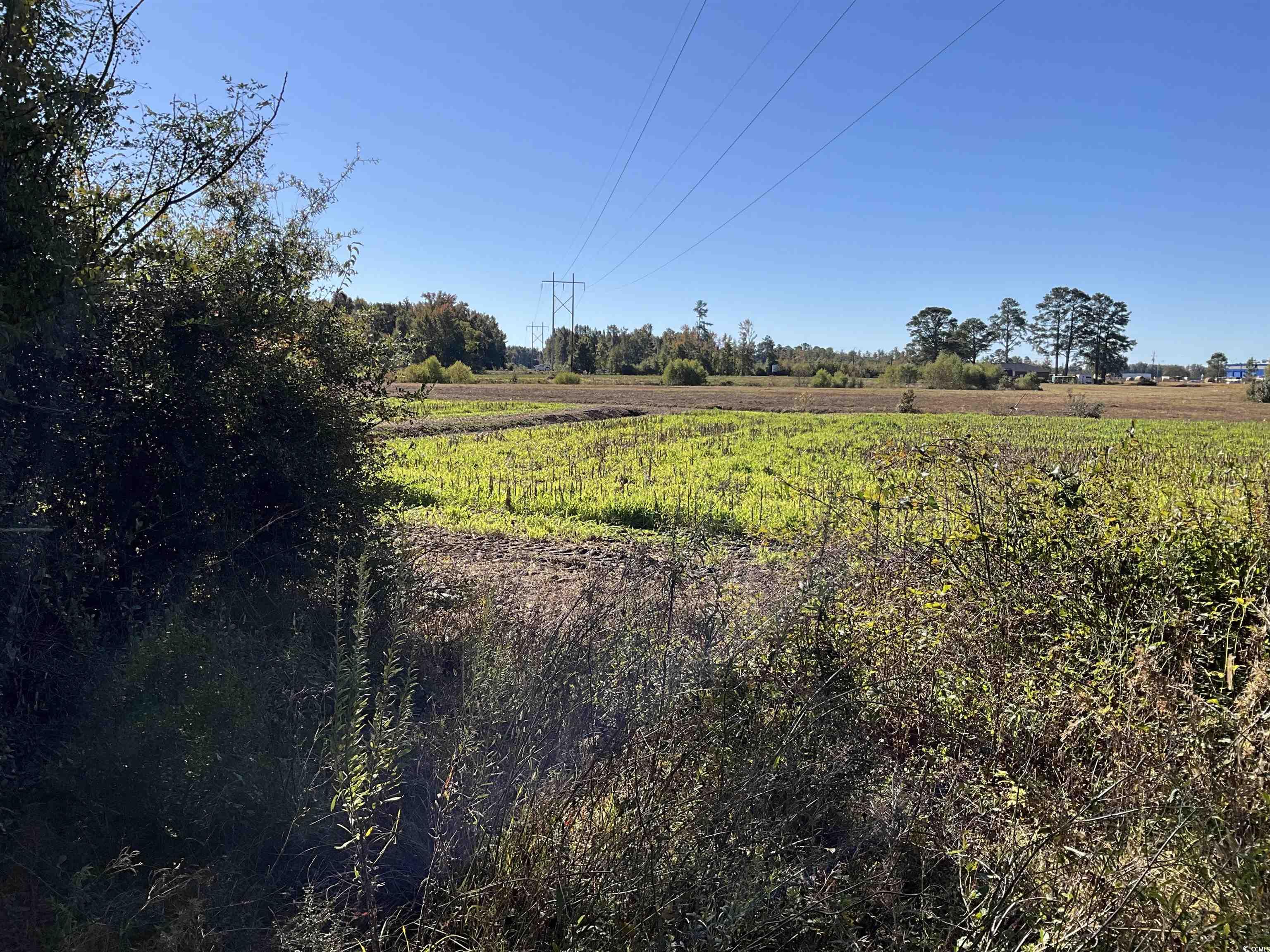 Tbd Derrick Court Marion, SC 29571 - Photo 3 of 7 View of local wilderness with rural landscape