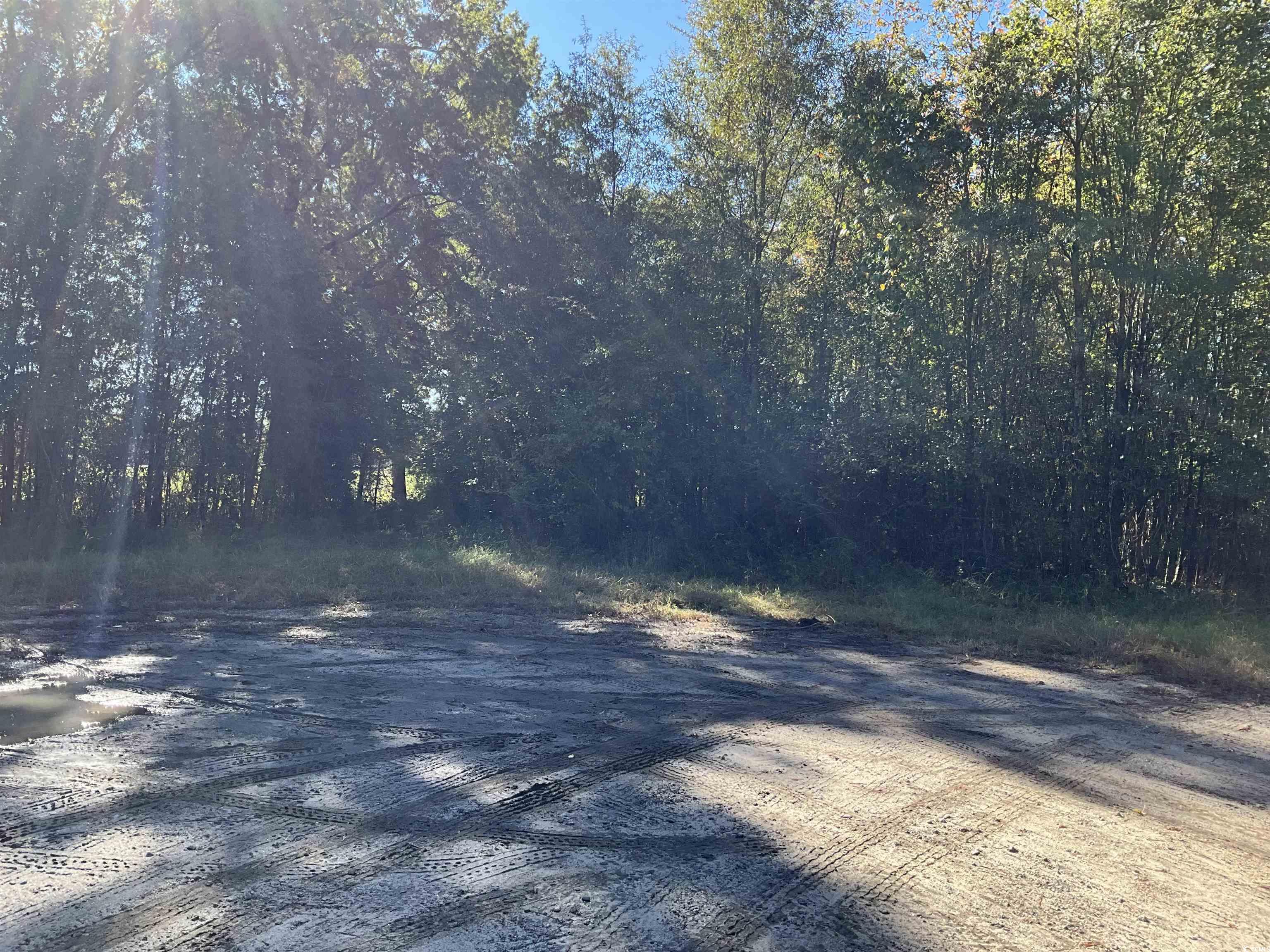 Tbd Derrick Court Marion, SC 29571 - Photo 5 of 7 View of road