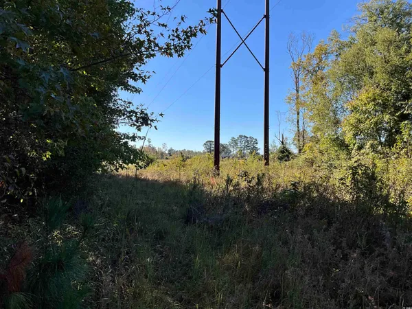$19,000 | Tbd Derrick Court, Marion, SC 29571
