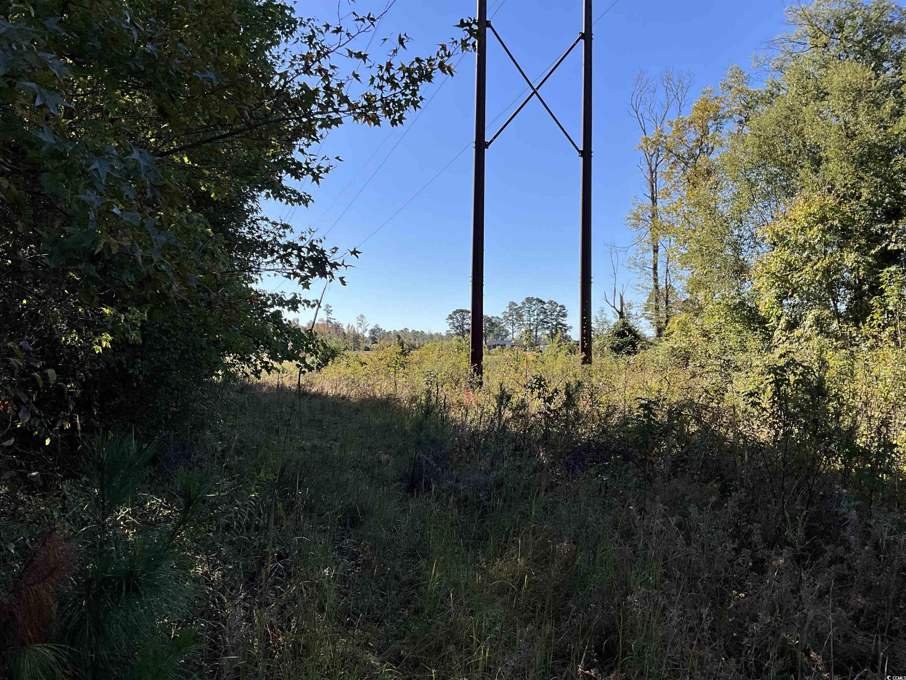Tbd Derrick Court Marion, SC 29571 - Photo 7 of 7 View of undeveloped land