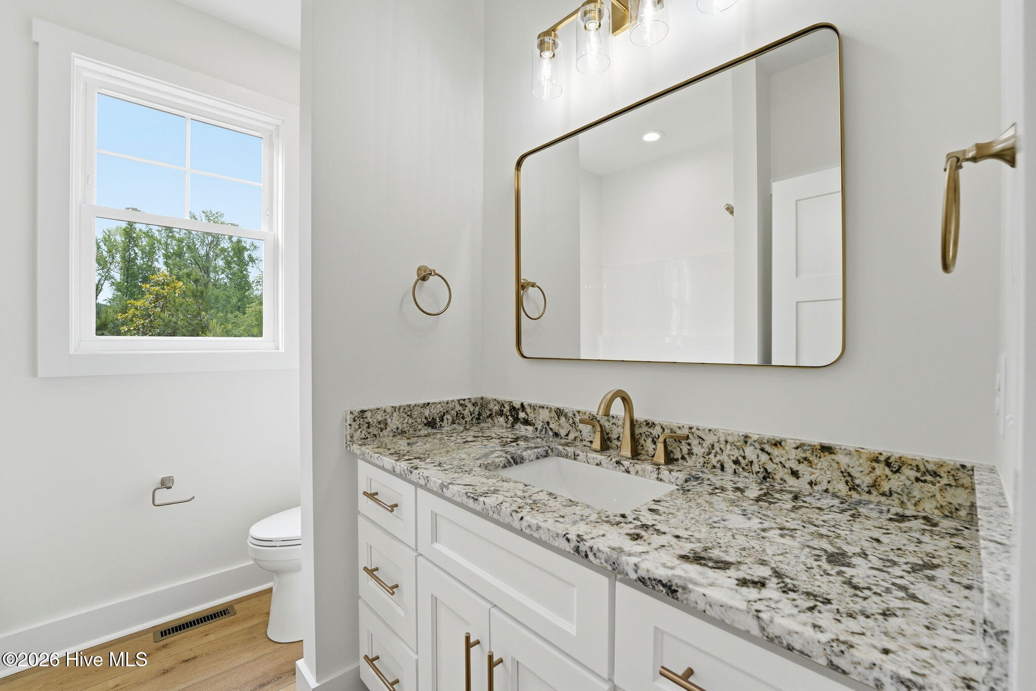 910 Niagara Carthage Road Carthage, NC 28327 - Photo 19 of 52