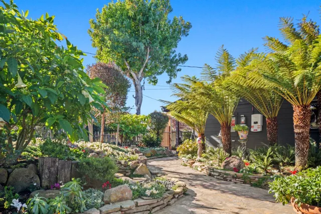 a front view of a house with a tree