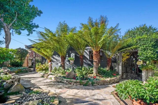 a front view of a house with a tree