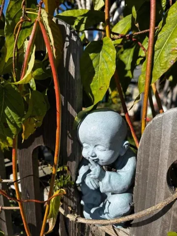 a kitchen with cabinets and stainless steel appliances