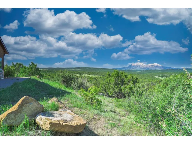 a view of a garden with an outdoor space
