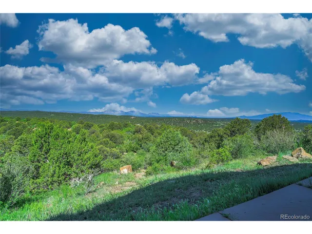 a view of a bunch of trees