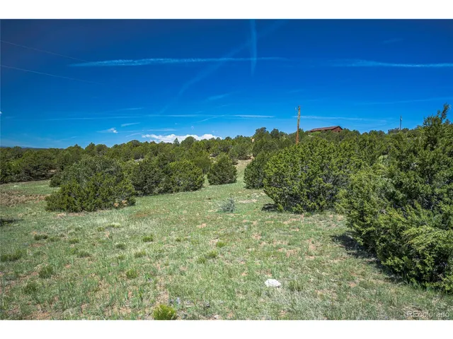 a view of a yard with an trees