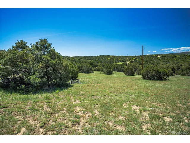 a view of a back yard