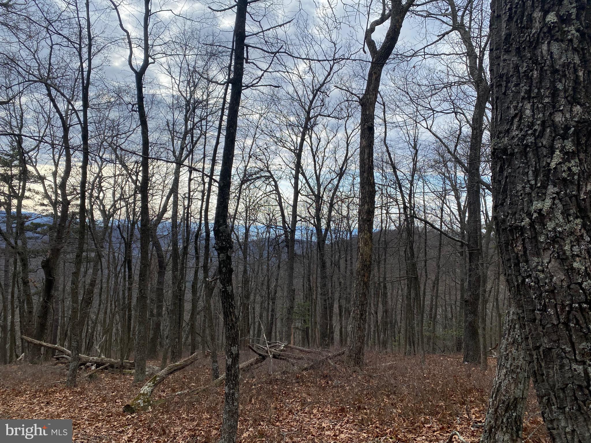 18 Top Of The Mountain Road Moorefield, WV 26836 - Photo 11 of 18