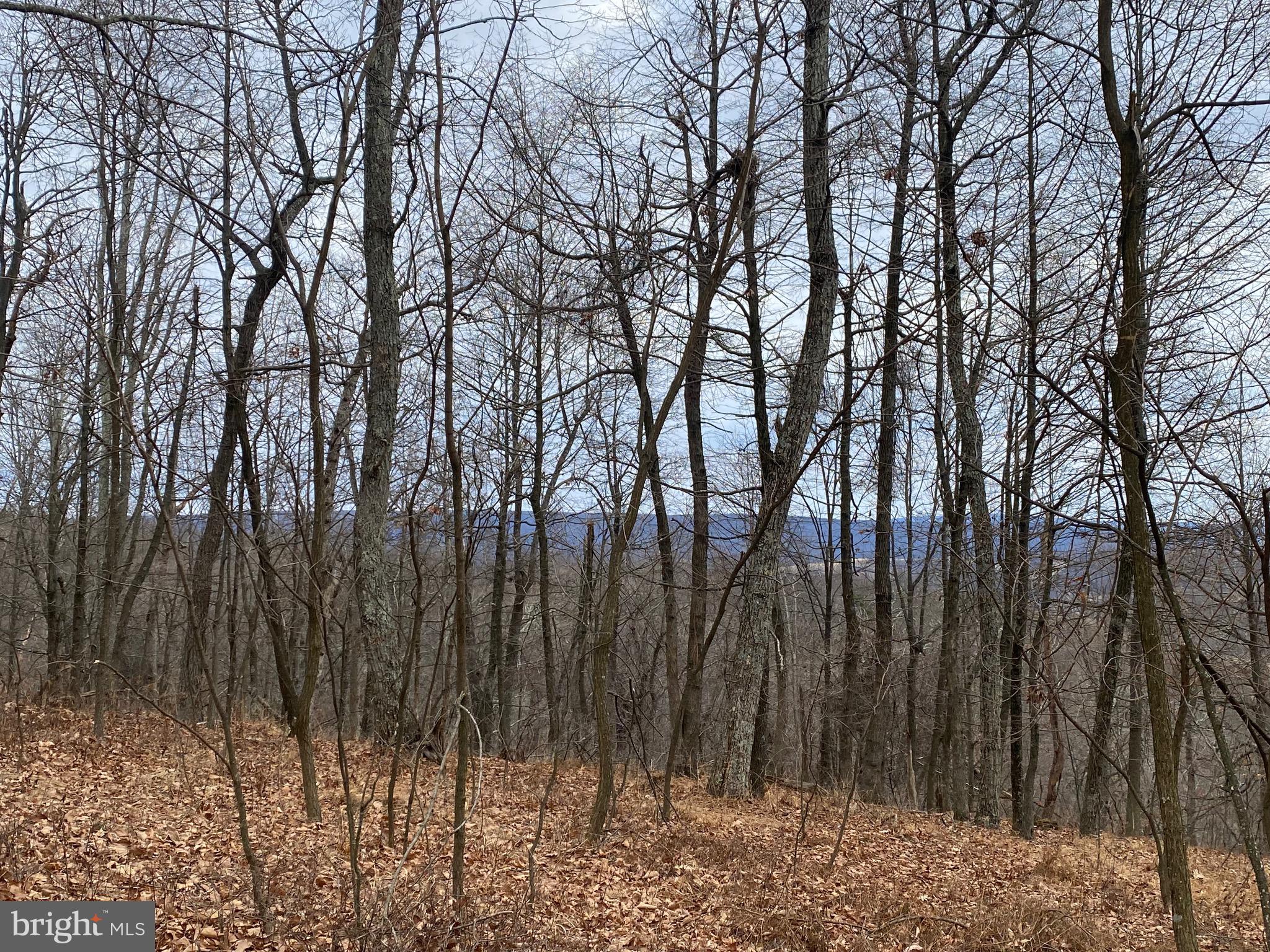 18 Top Of The Mountain Road Moorefield, WV 26836 - Photo 12 of 18