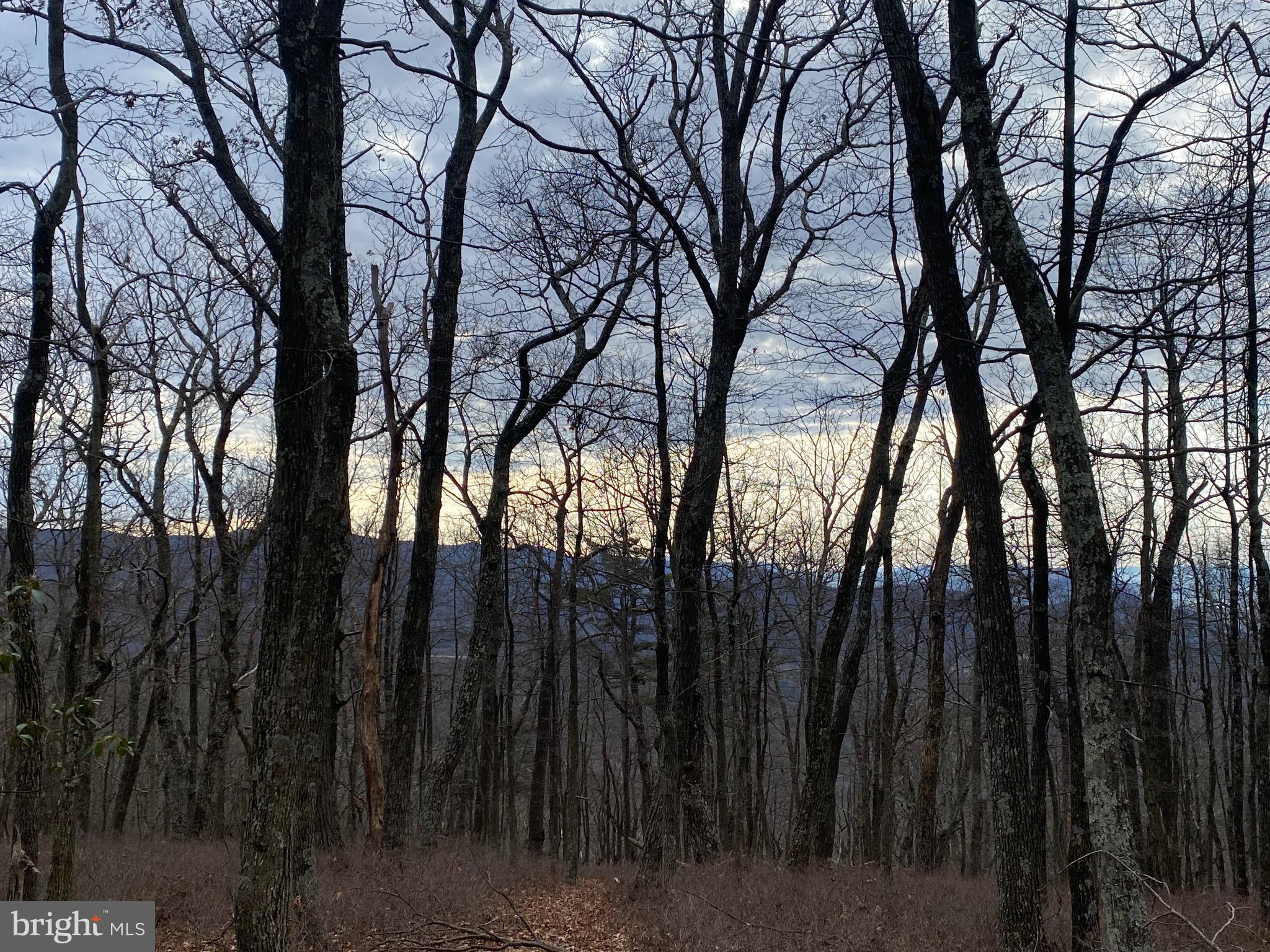 18 Top Of The Mountain Road Moorefield, WV 26836 - Photo 13 of 18