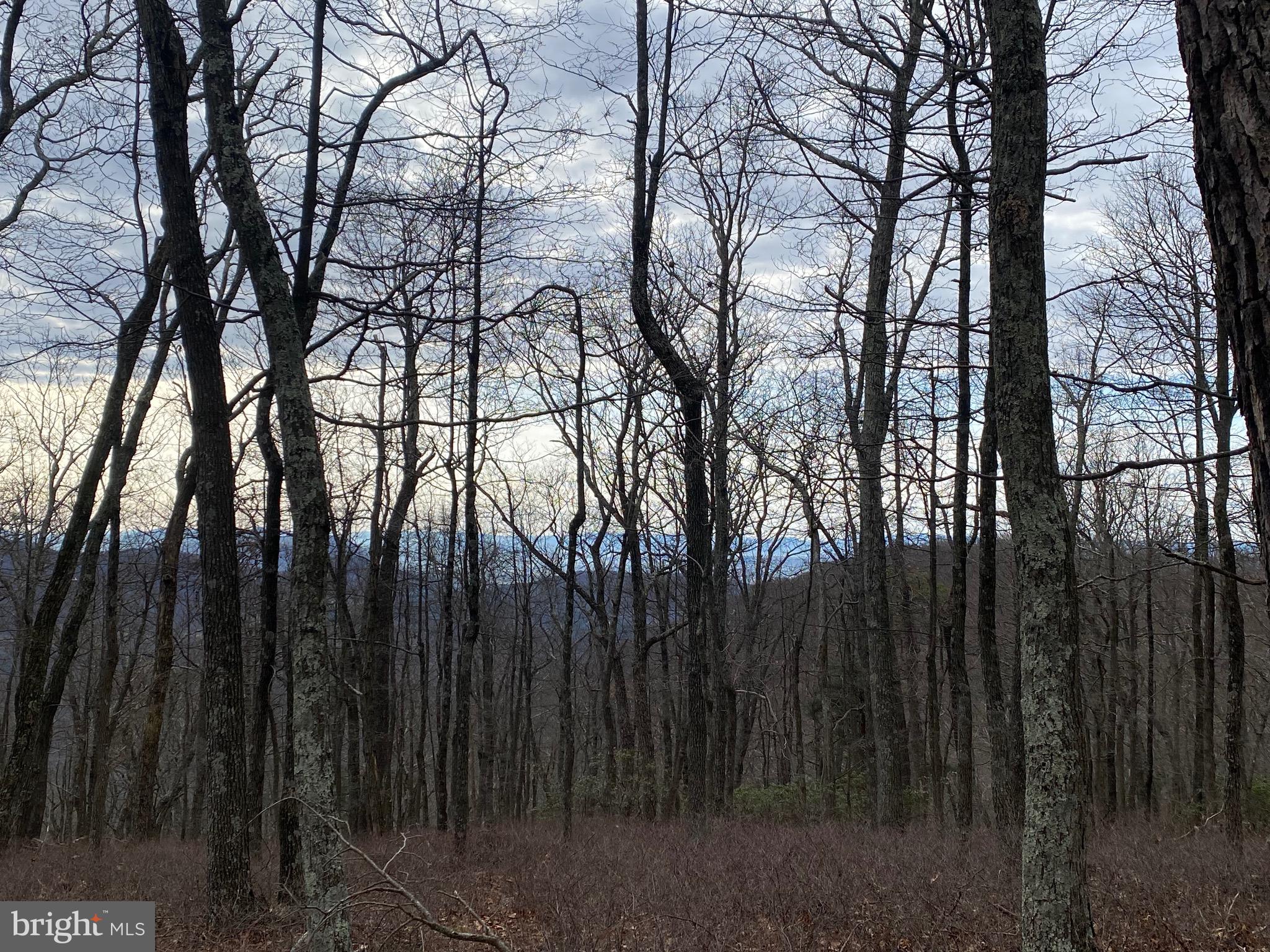 18 Top Of The Mountain Road Moorefield, WV 26836 - Photo 14 of 18