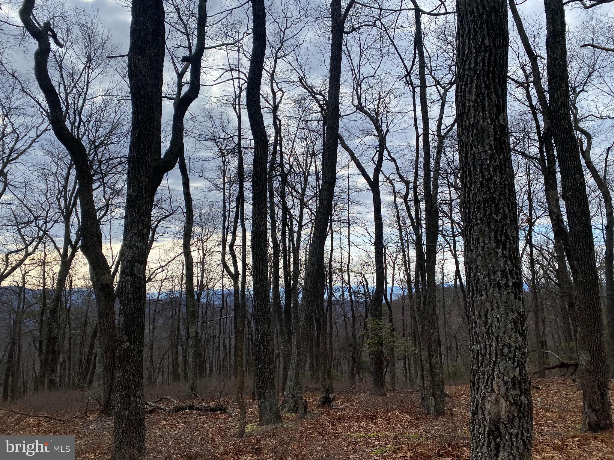 18 Top Of The Mountain Road Moorefield, WV 26836 - Photo 15 of 18